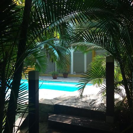 Chambre D'Hote Et Loft Dans Maison De Charme Piscine A Debordement La Villa Gialla Schoelcher Zewnętrze zdjęcie
