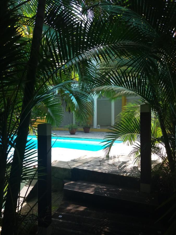 Chambre D'Hote Et Loft Dans Maison De Charme Piscine A Debordement La Villa Gialla Schoelcher Zewnętrze zdjęcie