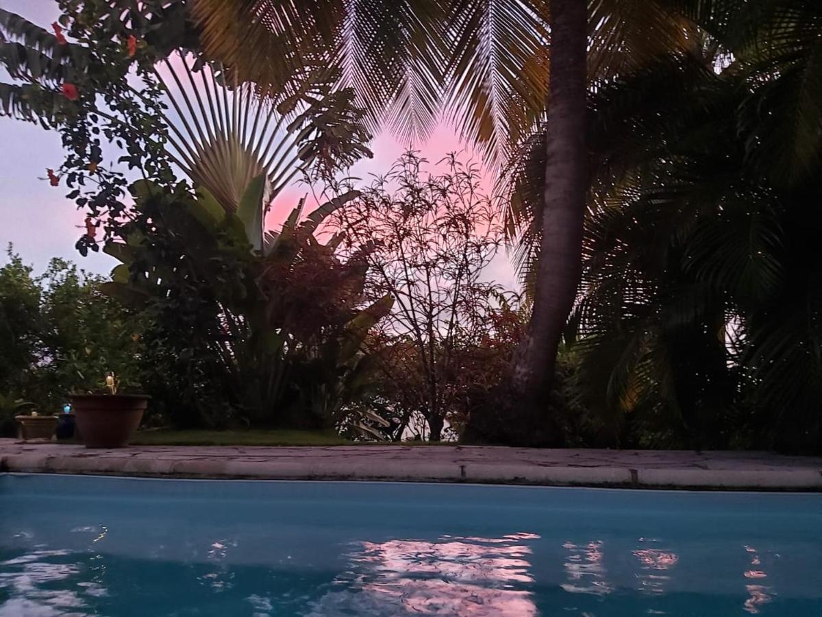 Chambre D'Hote Et Loft Dans Maison De Charme Piscine A Debordement La Villa Gialla Schoelcher Zewnętrze zdjęcie